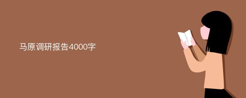 马原调研报告4000字