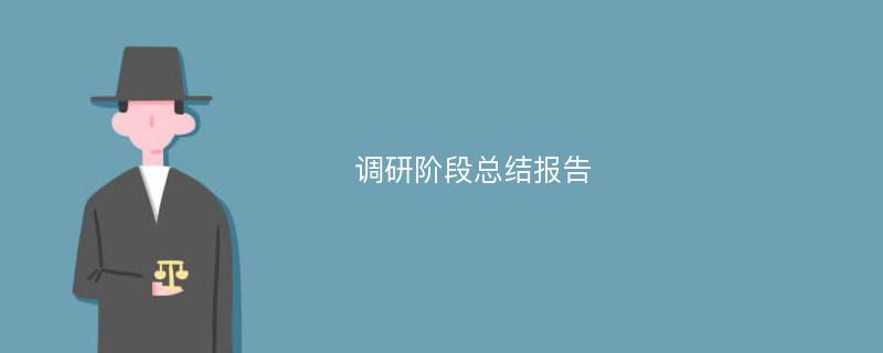 调研阶段总结报告