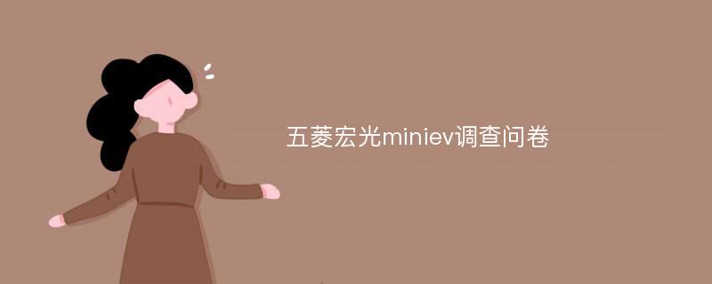 五菱宏光miniev调查问卷